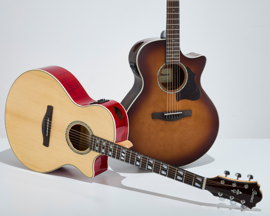 Premium acoustic guitars collection